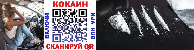 Купить закладки  Вилюйск  Cocaine Fish Scale 
