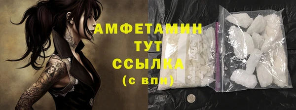 прущие грибы Зеленодольск