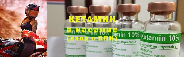 шишки Каменногорск
