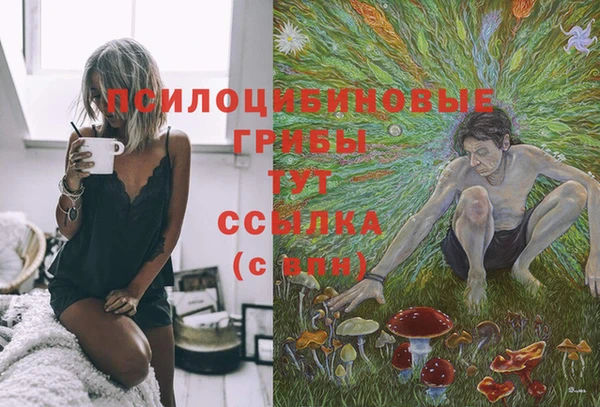 mix Зерноград