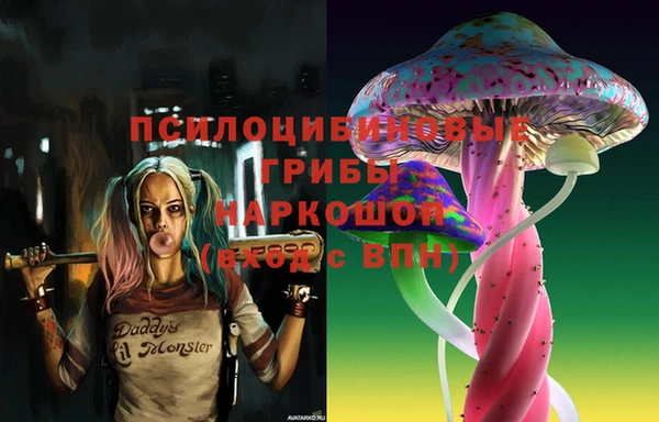 прущие грибы Зеленодольск
