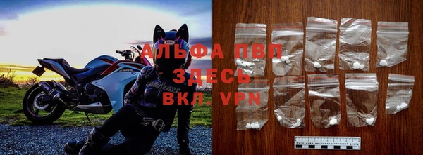 прущие грибы Зеленодольск
