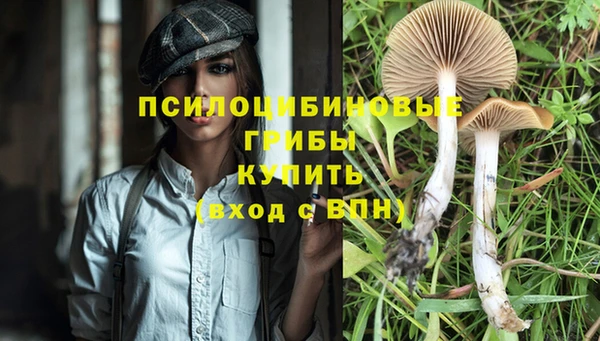 прущие грибы Зеленодольск