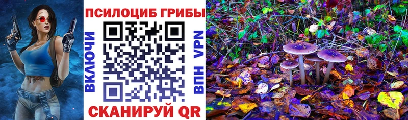 Псилоцибиновые грибы прущие грибы  Купить где  Вилюйск 